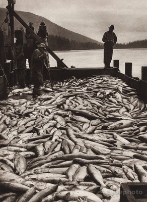 1925 Vintage CANADA Salmon Seafood Fishing Fish Nautical Fishermen