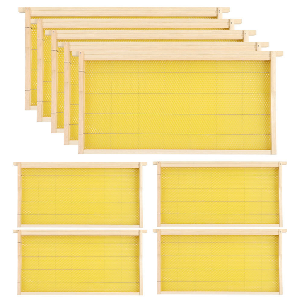 Foundation Medium Deep 10-Pack Plastic For Deep Langstroth Frames - 5 ...