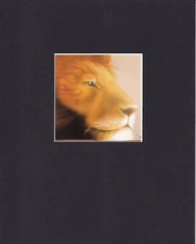 8X10" Matted Print Graffiti Street Art Picture: by MAK 1