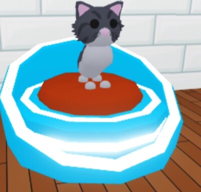 adopt me Persian Cat