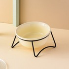 Foto 13 di 23