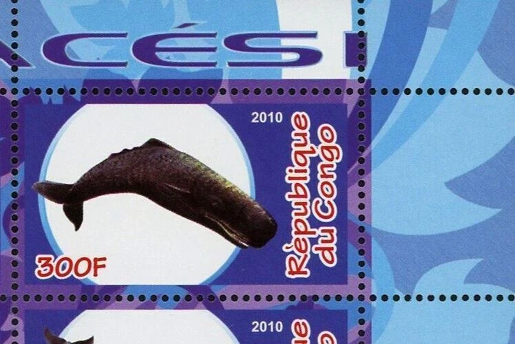 Estampilla de ballena de cetáceo océano fauna vida marina recuerdo hoja de 4 estampillas como nueva casi nueva Foto 3 de 4