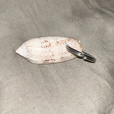 Lettered Olive Seashell Key Chain Keychain