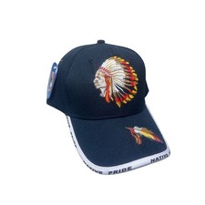 Native Pride Embroidered Baseball Cap Native American Headdress Feather