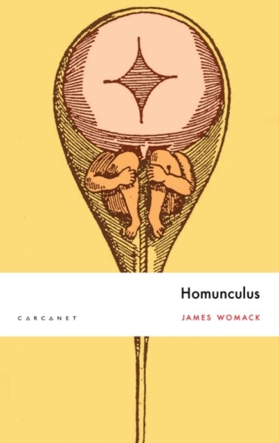 Homunculus by James Womack (Paperback Book)