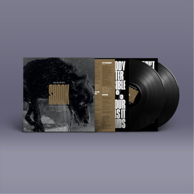 Algiers Shook (Schallplatte) 12'' Album