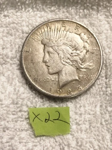 1925 LIBERTY PEACE SILVER DOLLAR VG CONDITION LOT #X22