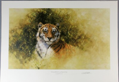 David SHEPHERD Original Limited Edition Print ''Sketch for Painting of a TIGER''