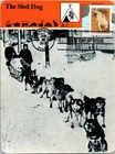Dr Jim Stamps Maximum Card Dogs At Work 65C Fdc