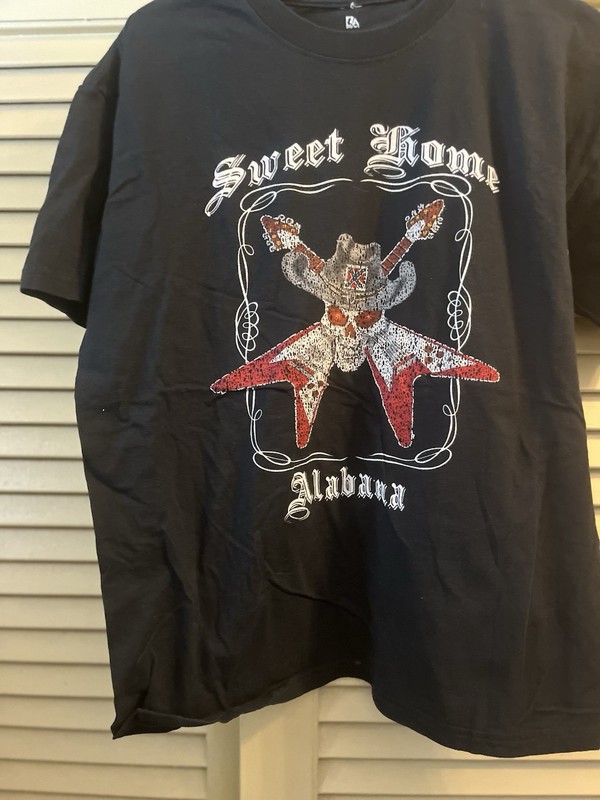 Lynyrd Skynyrd Sweet Home Alabama 2009 t shirt Men's XL Brown Liquid Blue