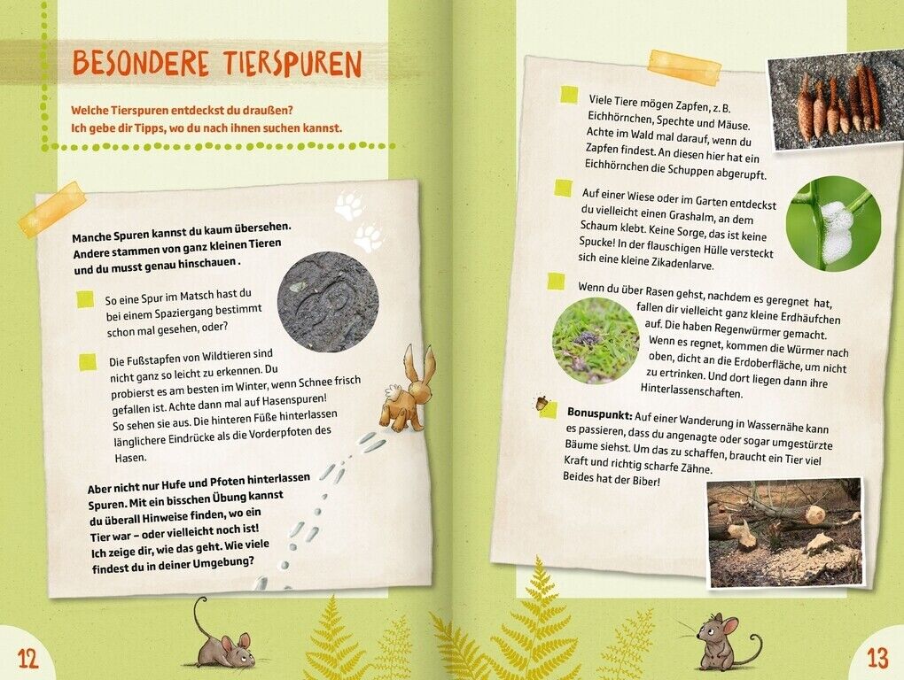 Thumbnail - 50 Naturgeheimnisse Und Outdoorabenteuer | Peter Wohlleben | 2022 |