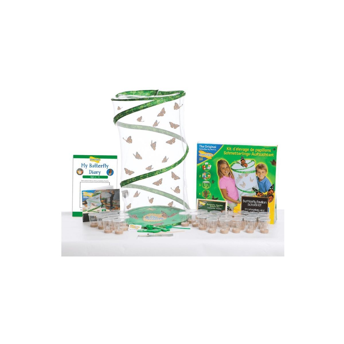 Kit d'élevage papillons chenilles vivantes matériel pédagogique SVT observation insectes