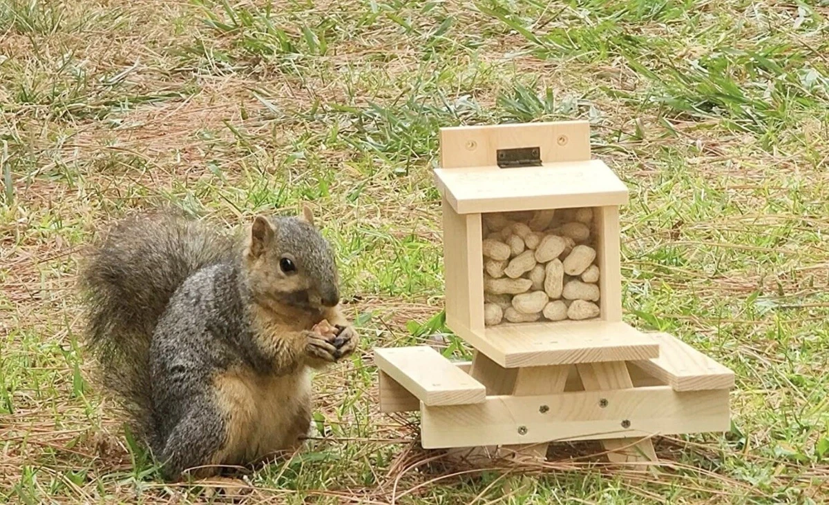Our Red Retro Metal Lawn Chair Squirrel Feeder Is A True