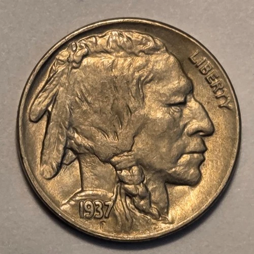 Nicer low mintage Business Uncirculated++ 1937 D Buffalo Head Nickel