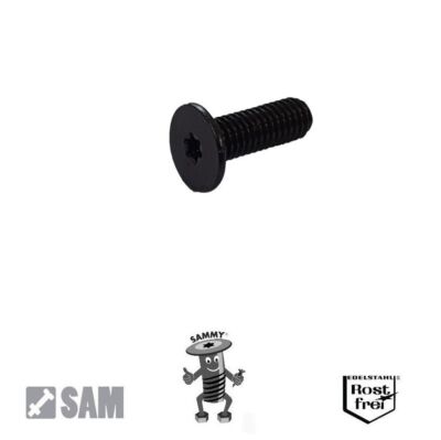 10 SCHWARZE Sammy  Schrauben M5X16 Flachkopf,sehr niedrig Torx Edelstahl SCHWARZ