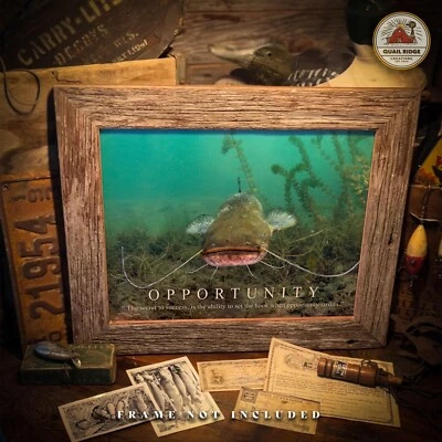 Catfish Fishing Motivational Poster Art Print Fishing Bait Lake Cabin Wall Decor