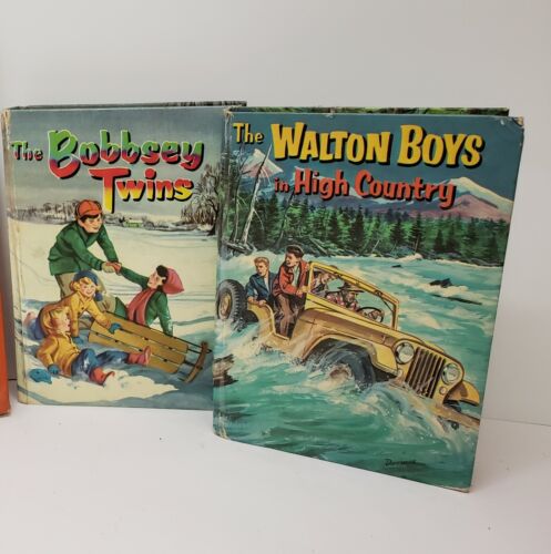 VINTAGE BOOKS THE BOBBSEY TWINS Merry Days Indoor & Out WALTON BOYS High Country - Afbeelding 1 van 11