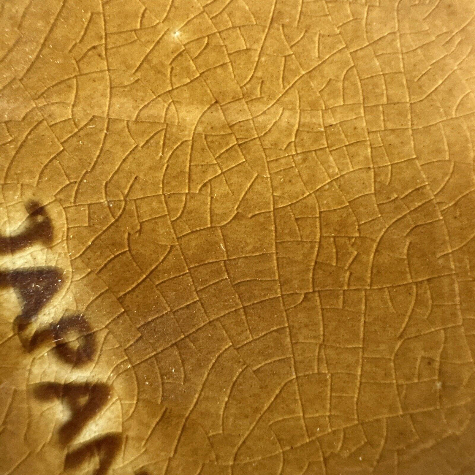 Foto 7 di 10