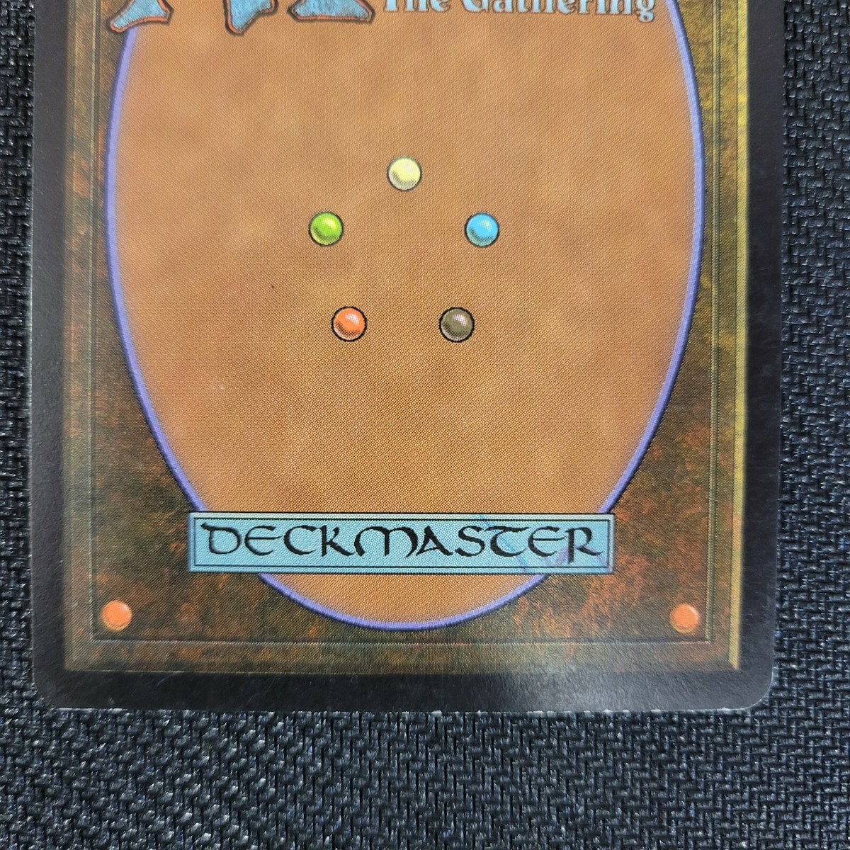 MTG ユーロランド 島 イタリア ベネチア EURO2)《島/Island》(Venezia, Italy)[ユーロランド] 土地