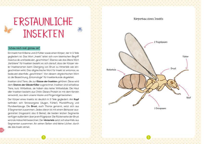 Thumbnail - Mein Naturführer - Insekten, Xavier Japiot