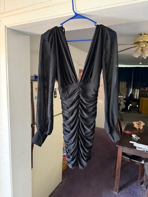 Windsor Black Long Sleeve Dress - Fitted - Sheer Sleeves - Size M | eBay