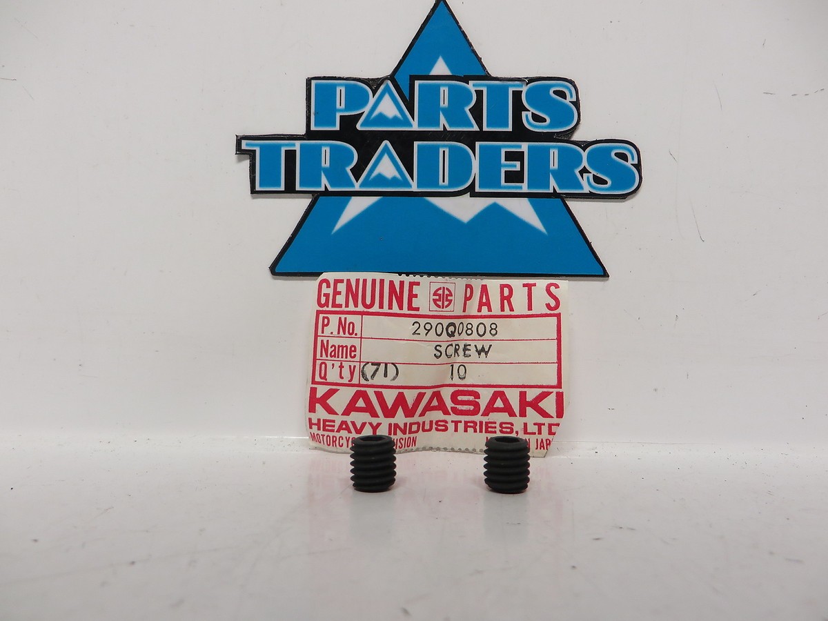 NOS Kawasaki Socket Screw 8x8 Set of 2 KDX200 KLR650 KX125 KFX250