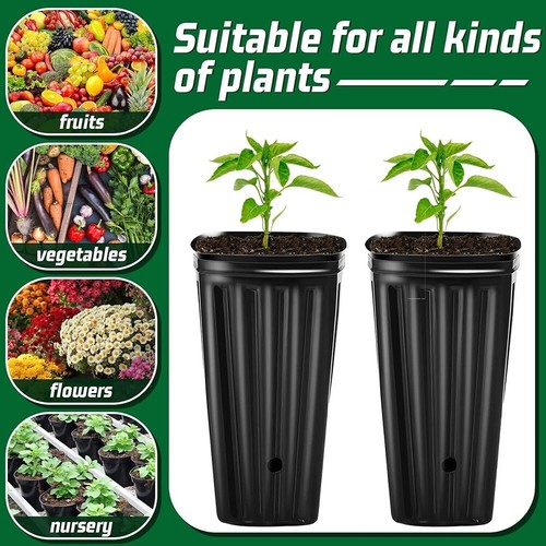 Quality Plastic 7.8 Tree Shoots Pots Tall Tree Pots Plastic Deep Nursery Treepo - Bild 8 von 36