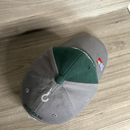 North Dakota State University NDSU Bisons NCAA Adjustable Hat Cap Green Gray NEW - Picture 4 of 6