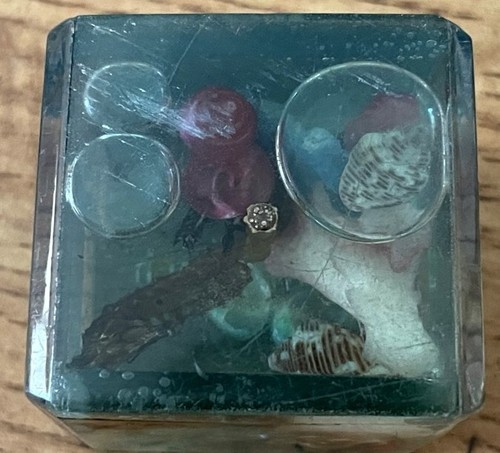 Mini cubo de plástico falso pisapapeles de acuario vintage de recuerdo de Miami Beach década de 1970 - Imagen 2 de 2