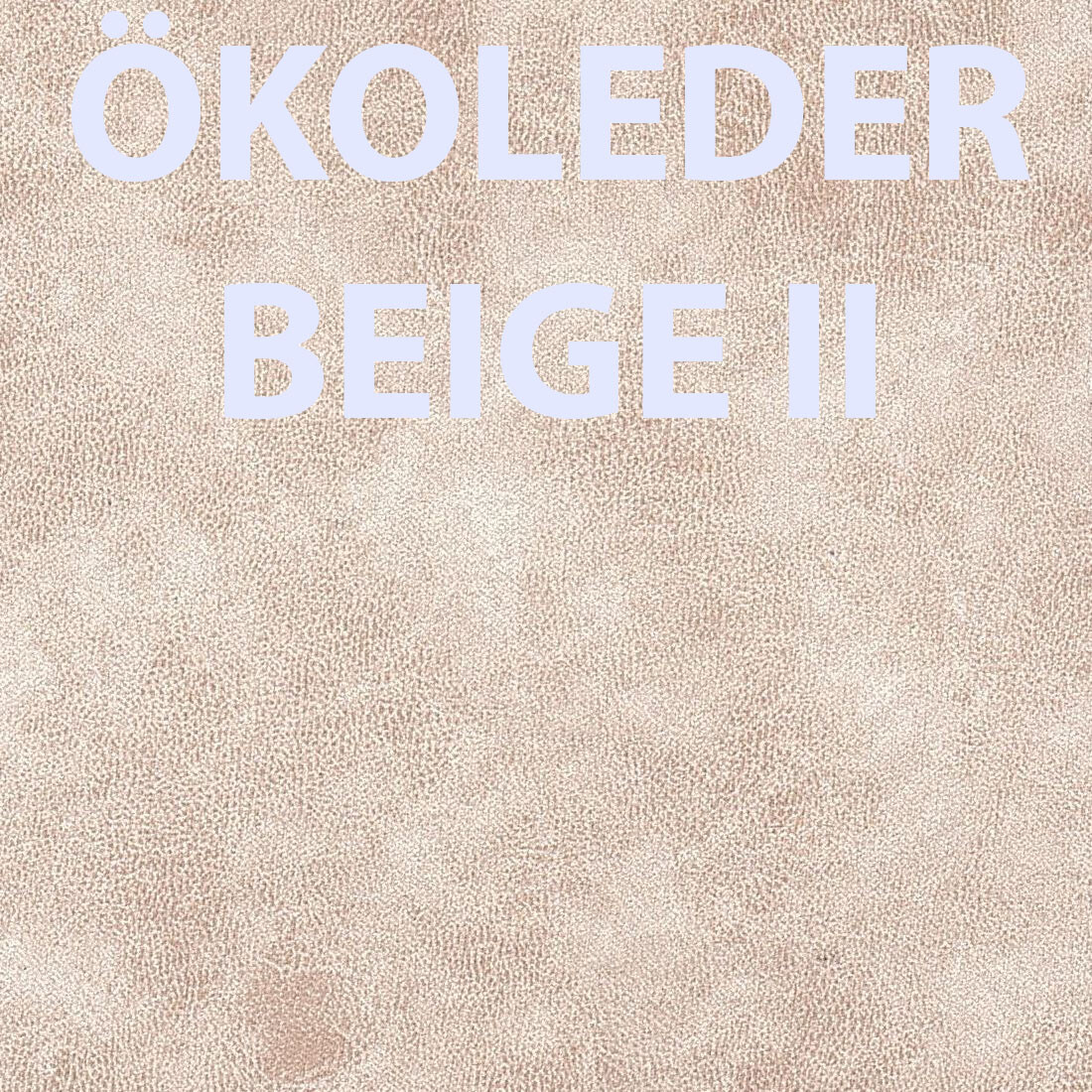 Bild 18 von 20