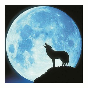 Details About Wolf Luminous Diy 3d Wall Sticker Glow In The Dark Home Decor Kids Bedroom Decal