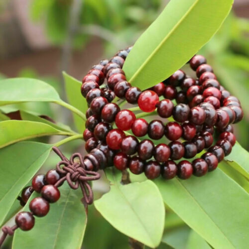 Sandalwood Buddhist Buddha Meditation 108 Prayer Bead Mala-Bracelets р△ λ' M9U9 - Picture 5 of 6