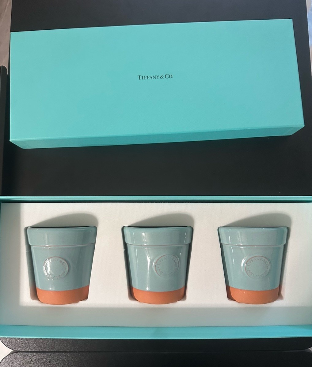 Tiffany & Co. Tiffany Blue and Terracotta Small Flower Pot Planter