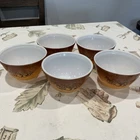 Set of 5 Vintage PYREX “Old Orchard” #401 750 ml Mixing Nesting Bowl