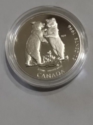 1996 KANADA KANADISCHE 4 STERLINGSILBER HALF DOLLAR MÜNZEN LITTLE WILD ONES CAMEO - Bild 10 von 13