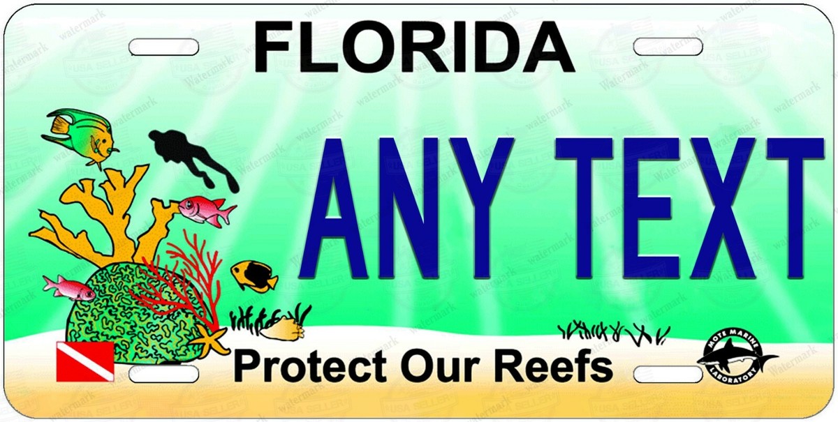 Targa Personalizzata Della Florida / Targa Decorativa Per ATV - Foto 3