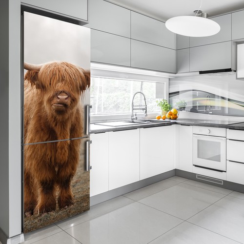 Self adhesive Refrigerator removable Animals Highland cow eBay