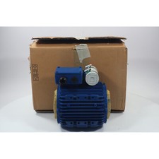 Lowara KITCMSA220M902230 Case Wound Stator New NFP