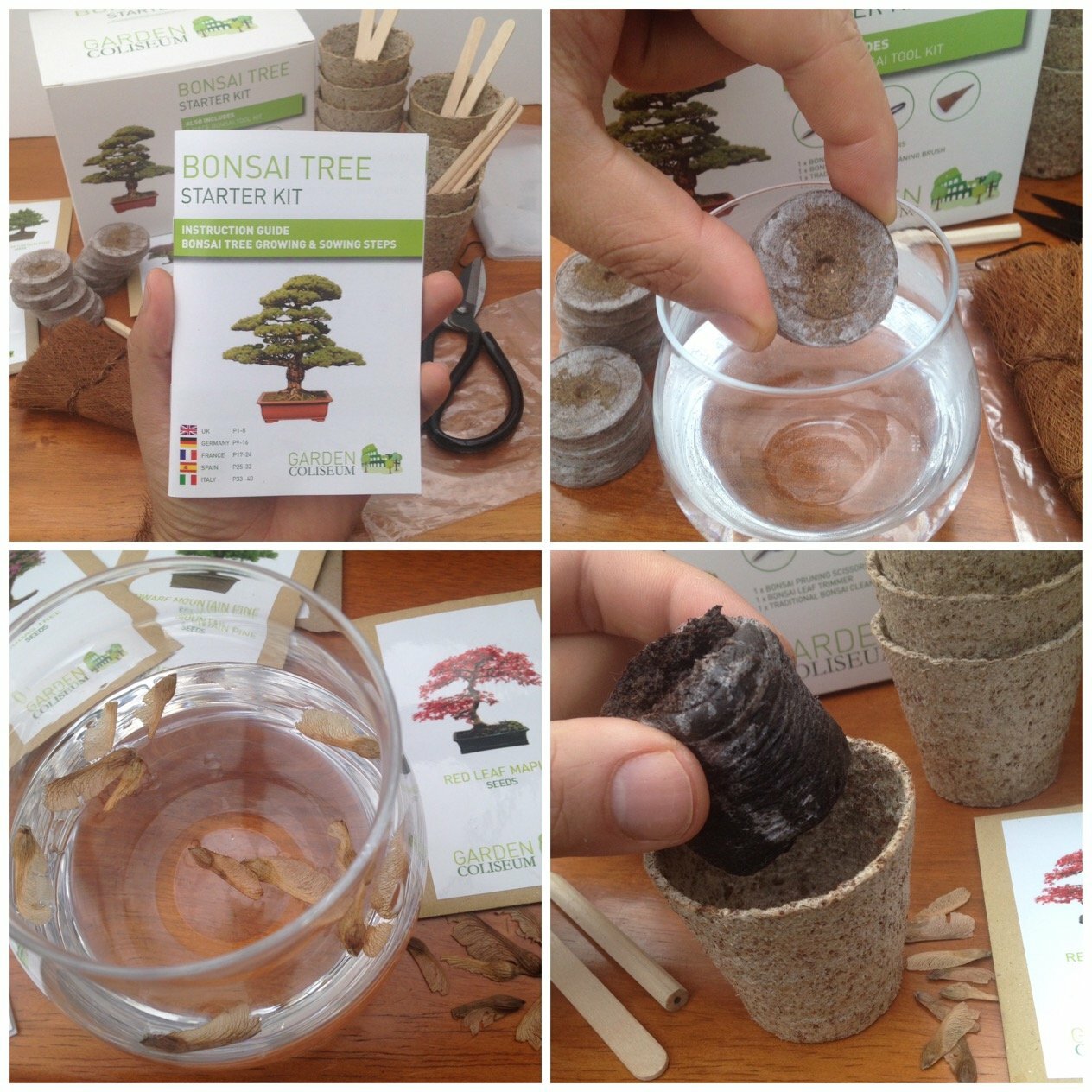 BONSAI TREE KIT. Grow 6 OF Your OWN Bonsai Trees from Seeds WITH BONSAI