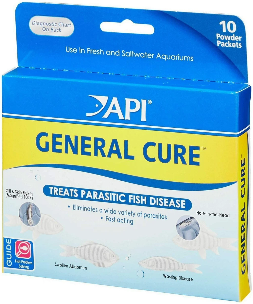 API General Cure Powder Packets 10 Count 6 Pack 317163160152 eBay