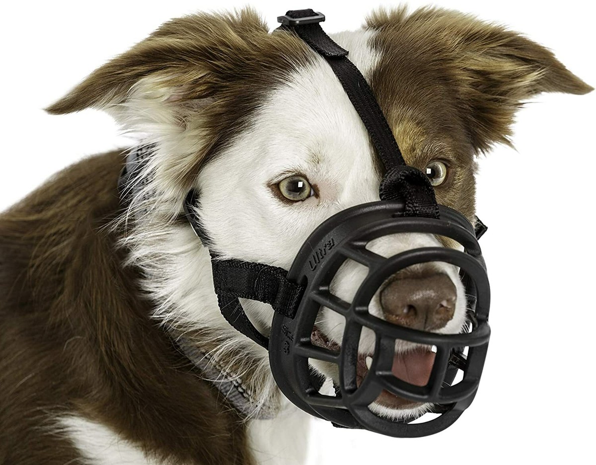 Baskerville Ultra Dog No Bite Muzzle Comfortable Soft Plastic Mesh Basket  Black