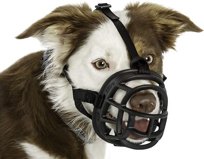 plastic dog muzzle
