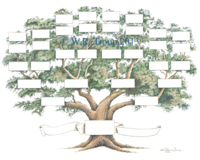 Family Tree Chart 5-6 Generations 14x18
