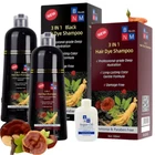 BNM Health 3 in 1 Hair Dye Shampoo Instant Gray Coverage Herbal 500mL Men Women