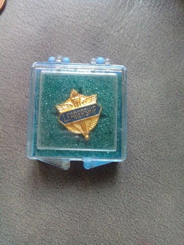 Vintage Goldtone Blue Torch Wings Crest Leadership Award Pin IOB - Picture 4 of 4