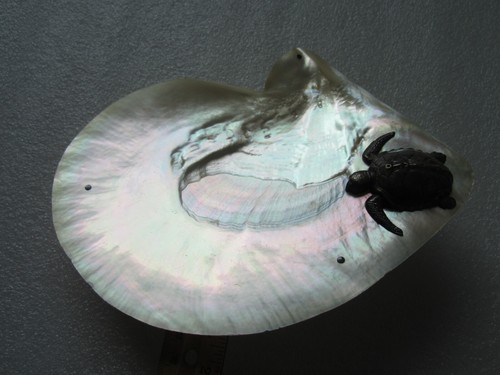 ONE OF A KIND ANTIQUE CLEWLEY ENGLAND STERLING TORTOISE ON SEASHELL JEWELRY TRAY - Picture 12 of 20