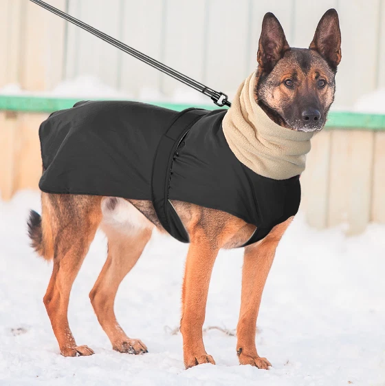 manteau pour grand chien