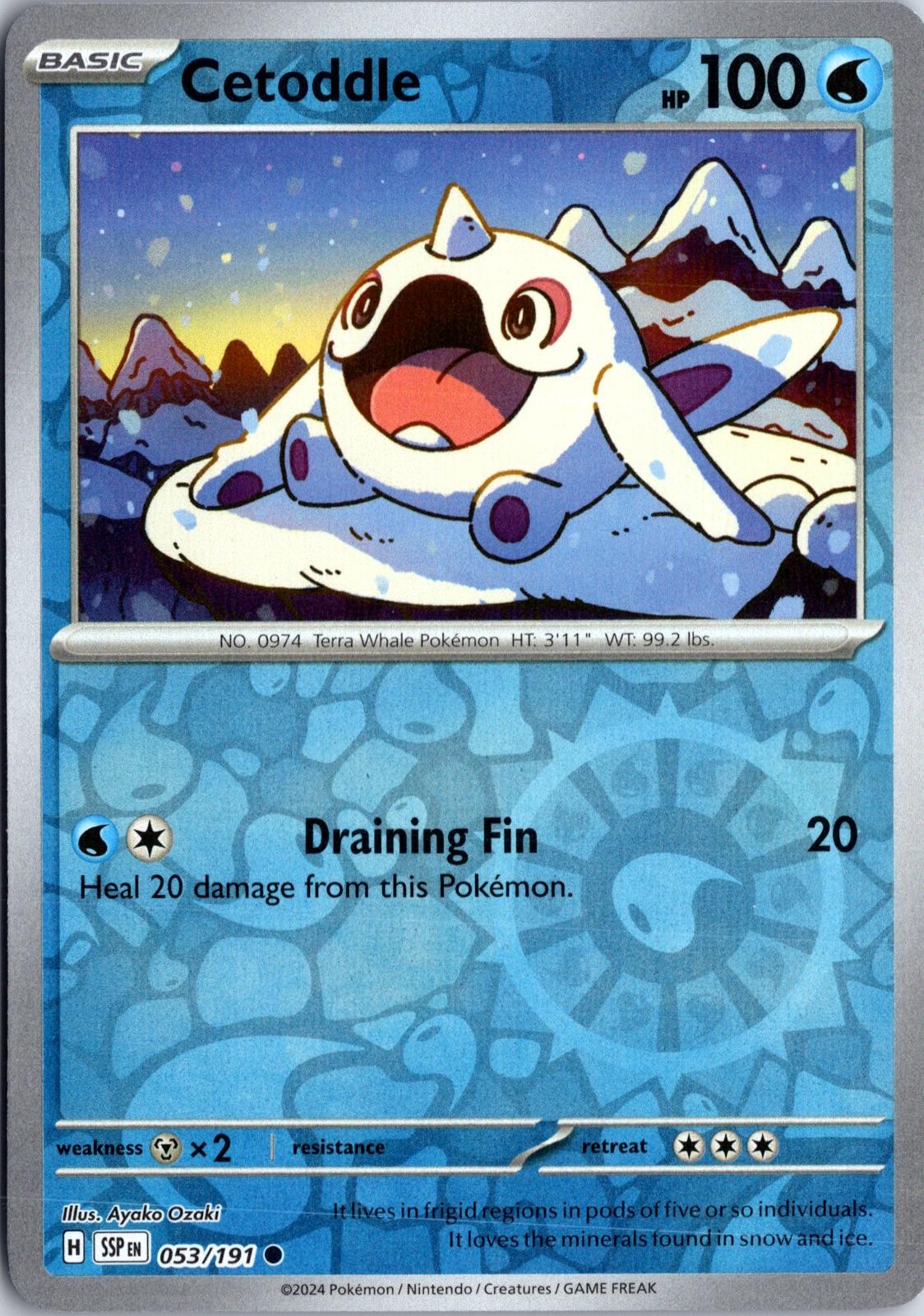 Cetoddle 053/191 Near Mint Common Surging Sparks Pokemon Reverse Holo