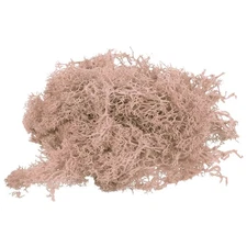 1.8 OZ Fake Moss Preserved Reindeer Moss Artificial Moss Lichen Khaki