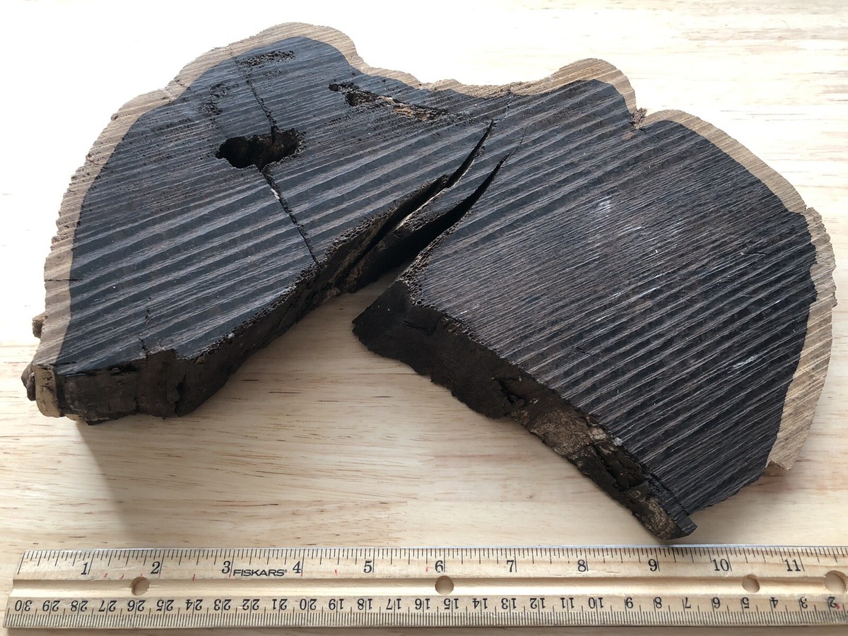 コハク CORDOVAN L zip bi-fold wallet – GANZO Official Store